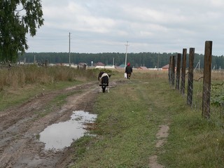 Эмеково (Александр Царегородцев)