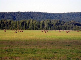 Дорога Семёновский-Умск. 2009.8.17. (_art)