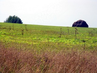 2009.08.22. Дорога Понино - Полом (_art)