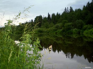 Река Быстрица. (Rusinoff)