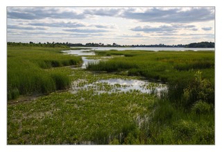 р. Цепинка (AlexNaym)