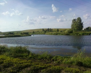 Новый пруд, вид с дороги (Zar-MedlaPictures)