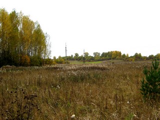 Холм деревни Фролы (Дмитрий Зонов)