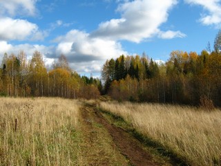 Дорога на Кленовое (Дмитрий Зонов)
