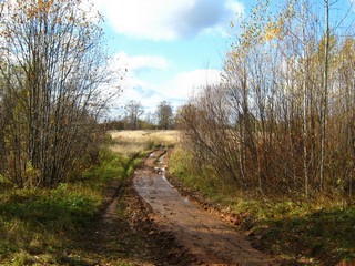 Дорога к д.Мокруша (Дмитрий Зонов)