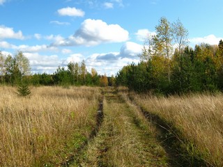 Дорога на Кленовое (Дмитрий Зонов)