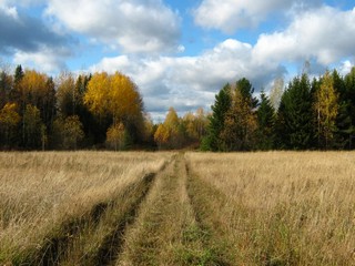 Октябрь (Дмитрий Зонов)