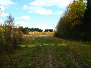 У низинки (Дмитрий Зонов)