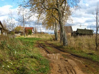 В д.Пашичи (Дмитрий Зонов)