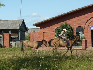 Тыловай (vjiki)