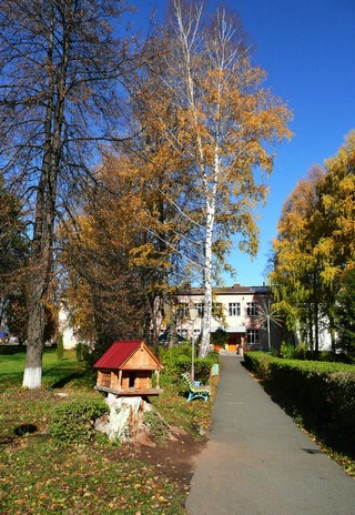 Аллеи санатория Металлург (Boris Busorgin)