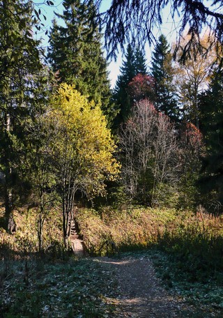 Тропинка. Карлутский лог (Boris Busorgin)