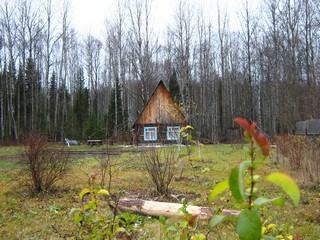 Сады КРИН (Дмитрий Зонов)