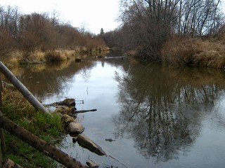 Медянка выше моста. (Дмитрий Зонов)