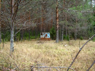 Лесная избушка (Дмитрий Зонов)