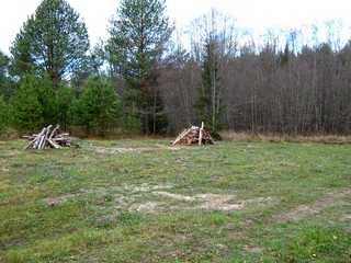 Поляна у ручья (Дмитрий Зонов)