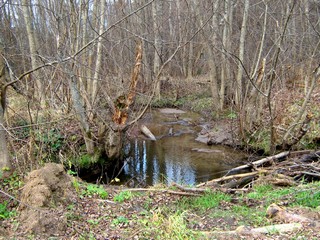 Ручей ниже моста (Дмитрий Зонов)