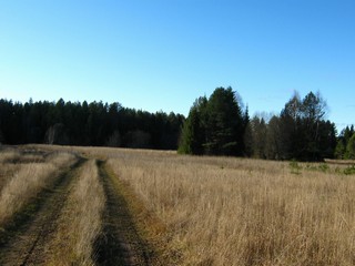 Дорога Зяблец-Горцы у б/д Ловля (Дмитрий Зонов)