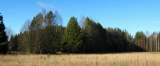 Осенняя геометрия (Дмитрий Зонов)