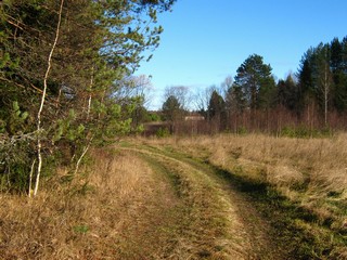 Дорога на Зяблец (Дмитрий Зонов)