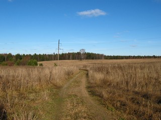 Дорога на Зяблец (Дмитрий Зонов)