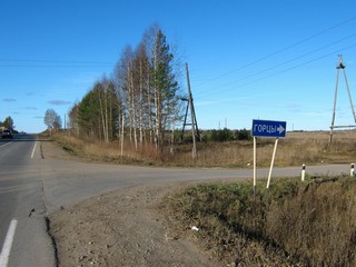 Поворот к д.Верхняя Горца (Дмитрий Зонов)