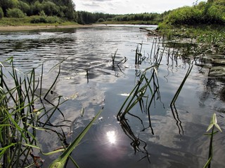 Залив на Кокшаге\\\\\\Gulf on B.Kokshaga (WERMUT)
