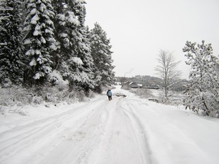 Дорога на п.Первомайский (Дмитрий Зонов)
