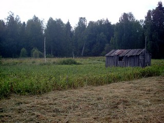 д Салья (RushPan)