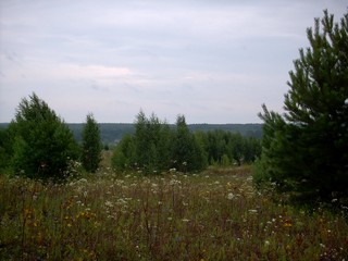 д Салья (RushPan)