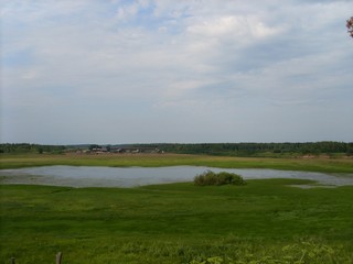 Вид на водоём близ моста через Кобру (Роман Кобелев)