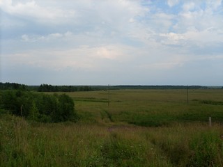 Вид на луга (Роман Кобелев)