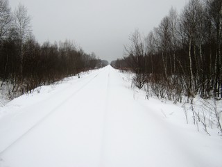 Снежно-железная дорога к Гирсово (Дмитрий Зонов)