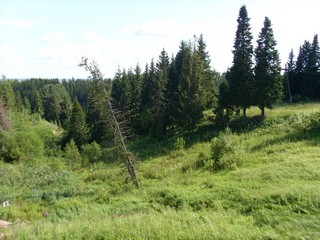 Лог за МСО (Роман Кобелев)