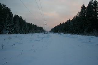 ЛЭП у с. Великая, в сторону д.Курень (Юрий Зыкин)