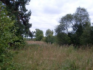 Деревня Шишковские 2010г. (a1fan)