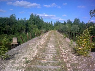 the old railway bridge (viktor drobot)