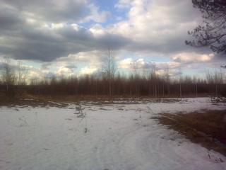 field at the start of spring (viktor drobot)