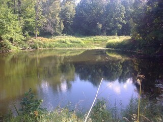 mini-lake Chernaya Yama at the river B. Kokshaga (viktor drobot)