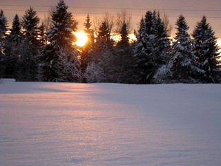 Зимнее Солнце. (Бузмаков Григорий)