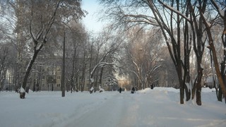 Йошкар-Ола зимой (Максим Щербаков)