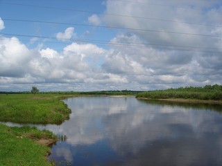 Кокшамары. Дубовая роща. 2008 год. (Максим Щербаков)