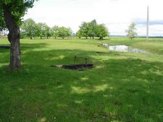 Кокшамары. Дубовая роща. 2008 год. (Максим Щербаков)