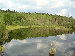 д. Б. Перелаз. Река (вид с моста на д. Шуравницы) (MagDi)