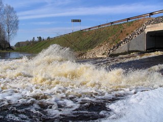 Osinovka (DmObukhov)