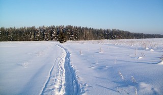 Тропа на Мезриху - Волково, февраль (Дмитрий Зонов)