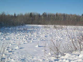 Снежные мурашки (Дмитрий Зонов)