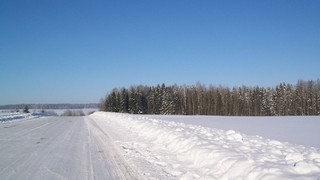 Ур.Ромашинцы (Дмитрий Зонов)