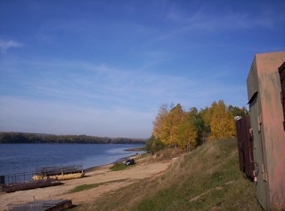 Шелангуши (Александр Тайгильдин)