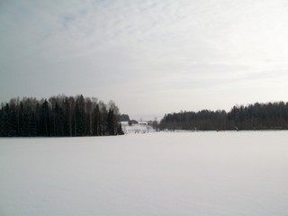 Вид на дорогу к Навалихиным (Дмитрий Зонов)